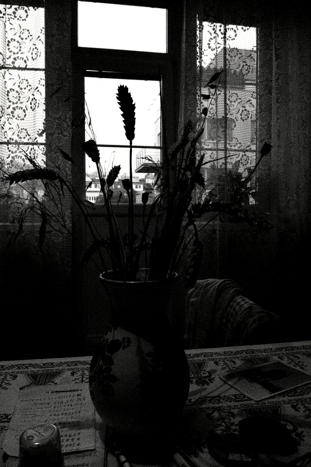 At My Grandma's