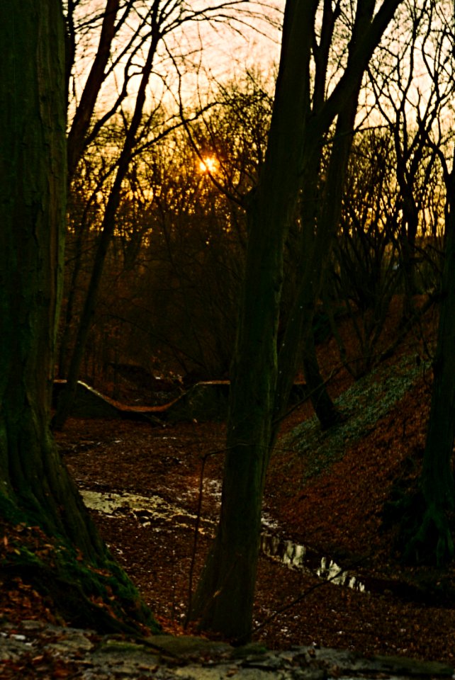 Praktica MTL3 + Edixa-Iscotar - Sunset in the Valley