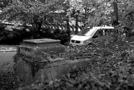 Ricoh TLS 401 with Helios 44-2 - A Place 1