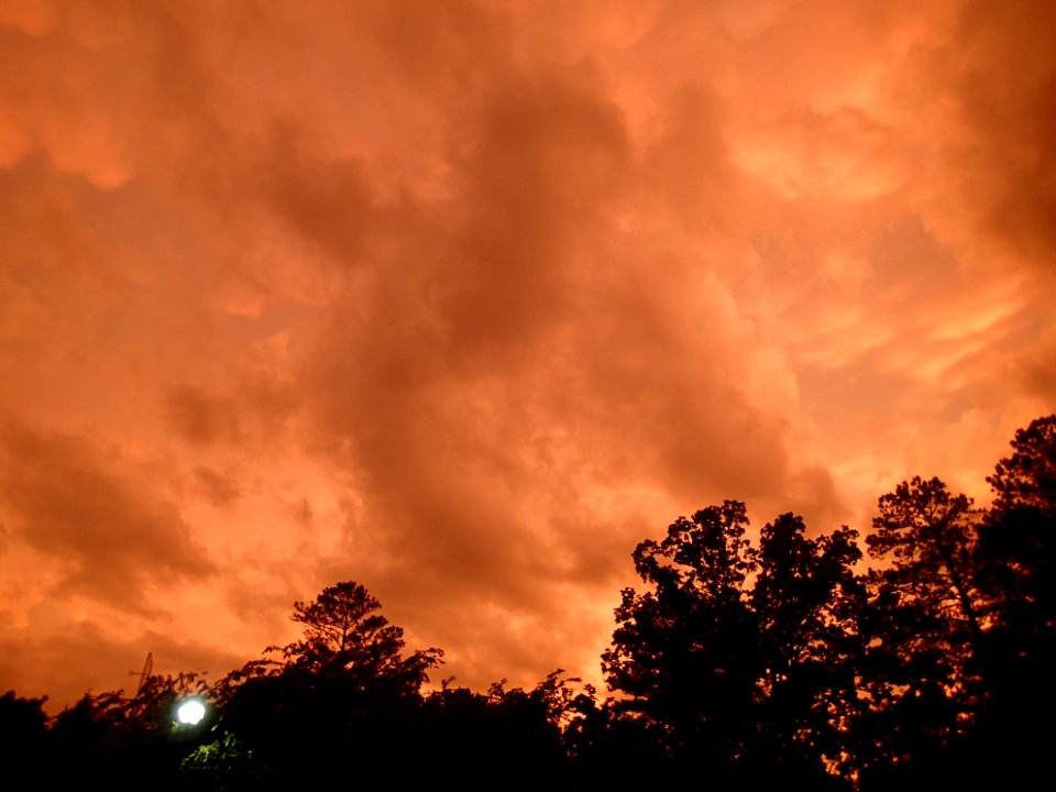 Storm Aftermath in Kennesaw - June 13th, 2013