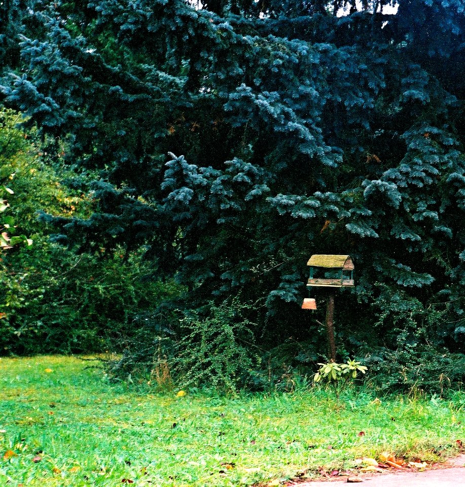 Kiev 4 + Jupiter-8M 53/2 - Hospital Places