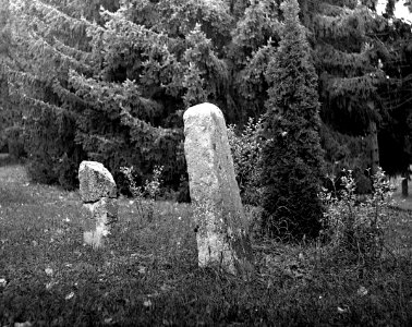 Ricoh TLS 401 with Helios 44-2 - "Menhirs" in Bohunice Hospital 1 photo