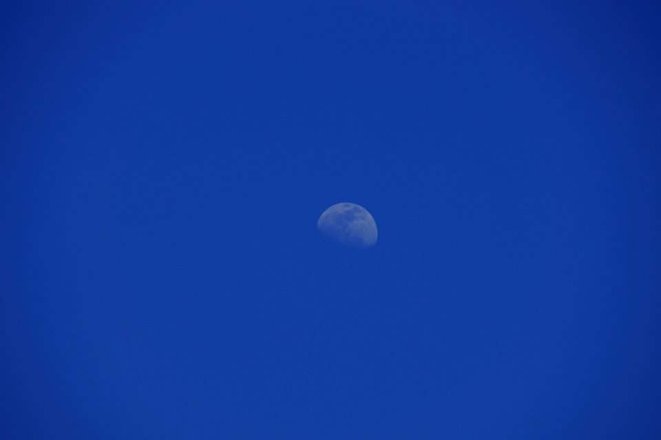 DSC01040