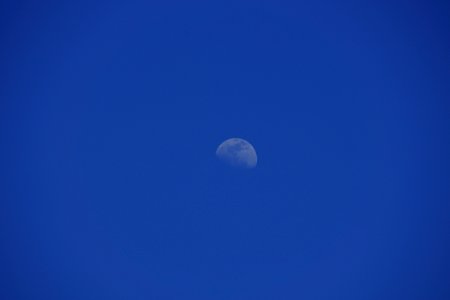 DSC01040