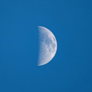 Day 110 - Waxing Crescent Moon on 4-19-21 photo