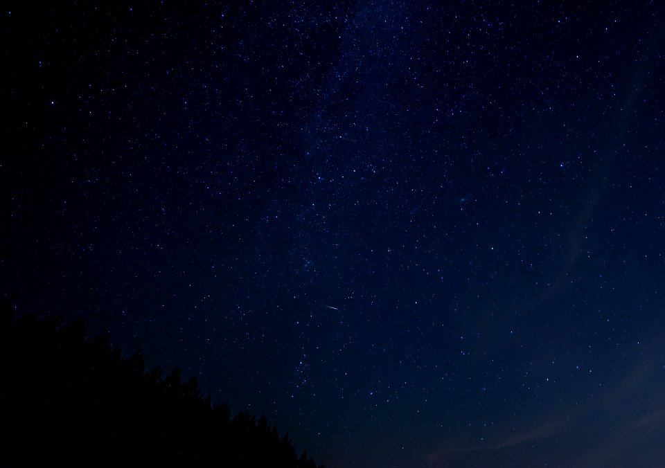 Perseid Meteor - 2013