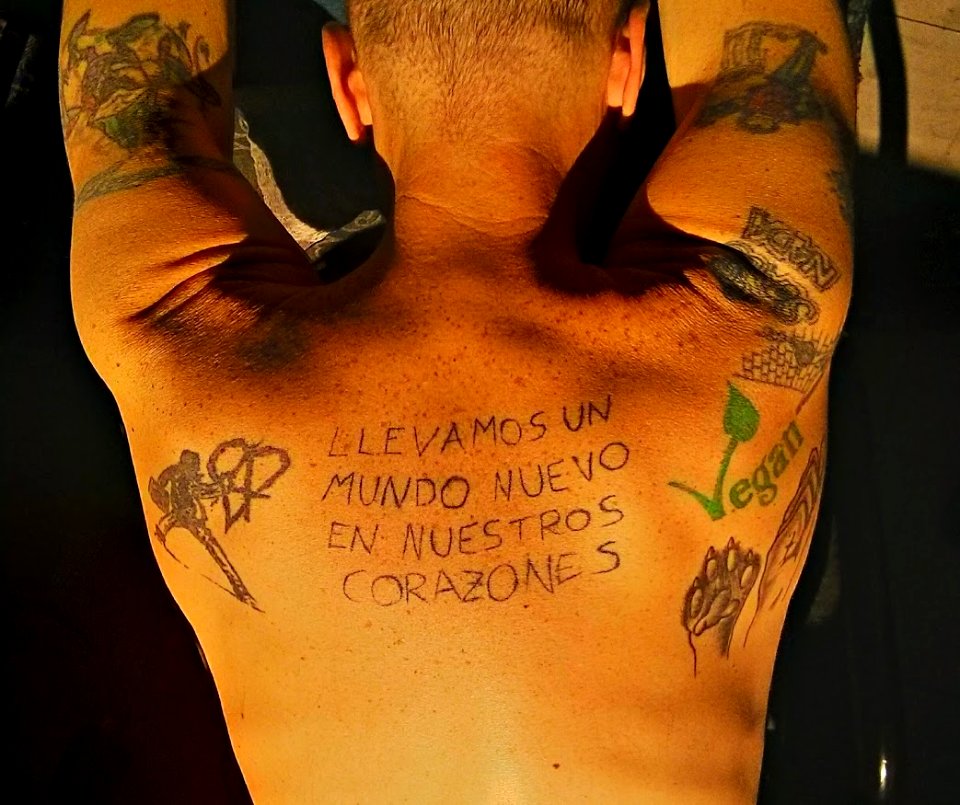 Foto casual de la espalda de mi amigo, el Mago, un humano totalmente dedicado a manifestar el mundo nuevo que tenemos en nuestros corazones. Tomada en junio 2014.