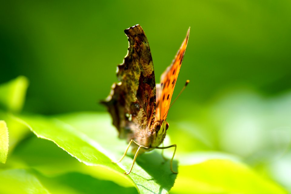 DSC05776