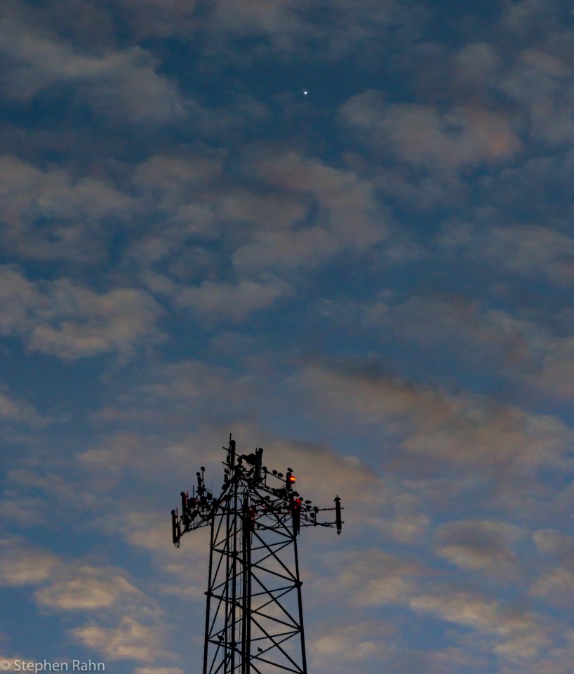 Venus and Vultures