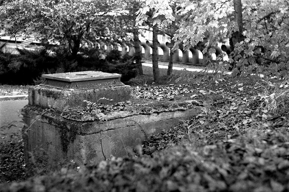 Ricoh TLS 401 with Helios 44-2 - A Place 2