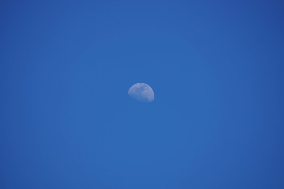 DSC01080