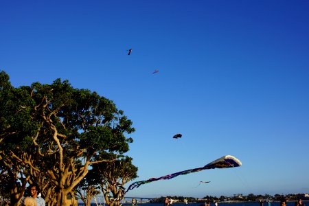 DSC07598