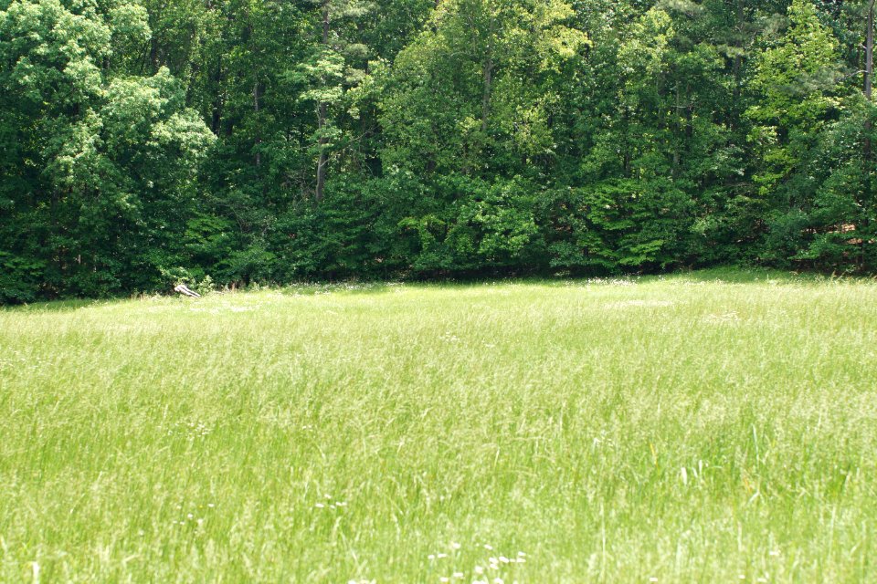 DSC05661