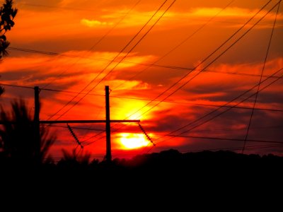 Day 311 - Sunset through the cables. photo