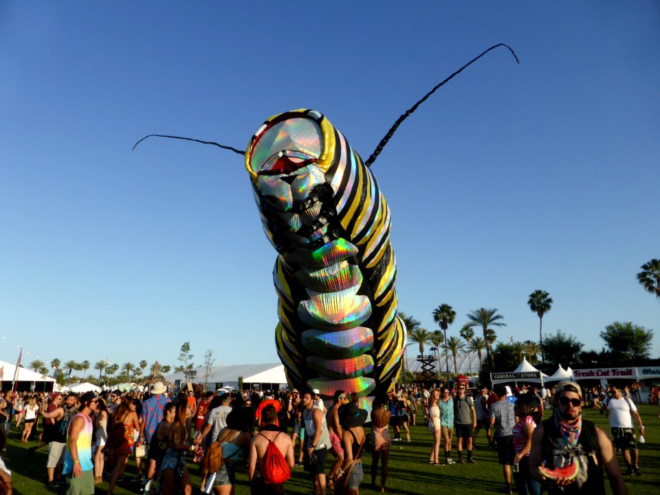Coachella Caterpillar