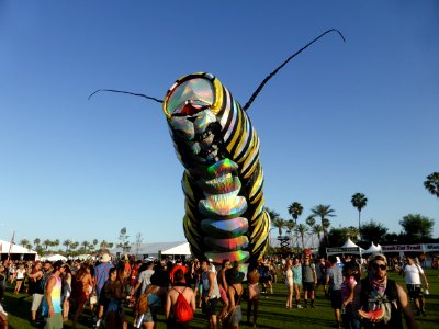 Coachella Caterpillar