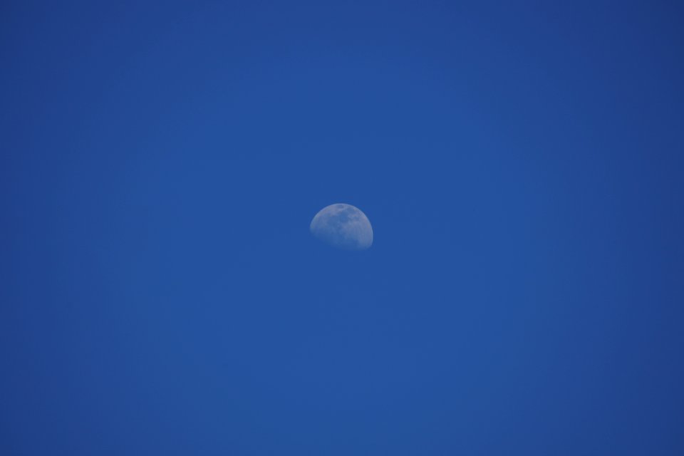 DSC01081