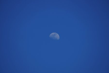 DSC01081