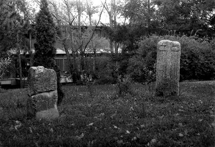 Ricoh TLS 401 with Helios 44-2 - "Menhirs" in Bohunice Hospital 2 photo