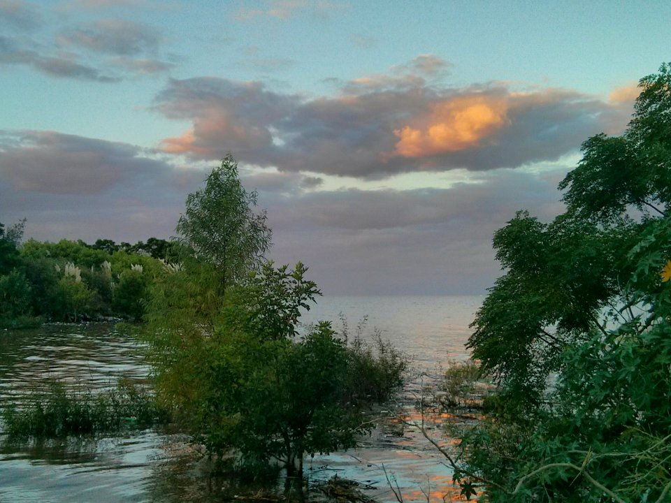 4 fotos tomadas en la costa de Vicente López