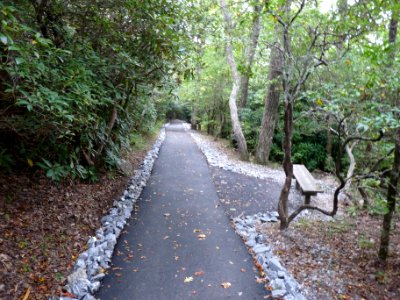 Brasstown Bald
