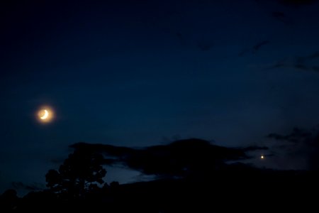 Crescent Moon and Venus