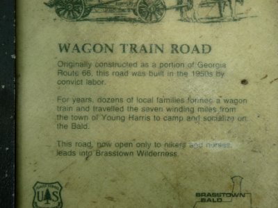 Brasstown Bald