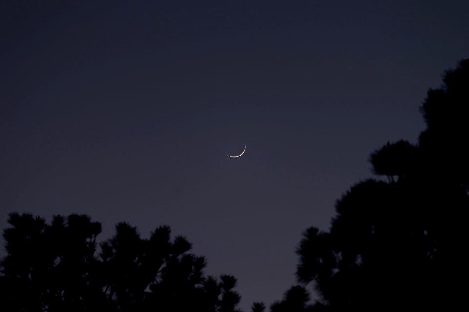 Waxing Crescent Moon on 3-26-20