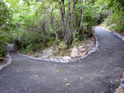 Brasstown Bald