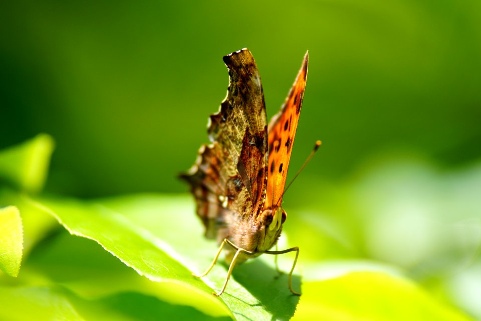 DSC05777