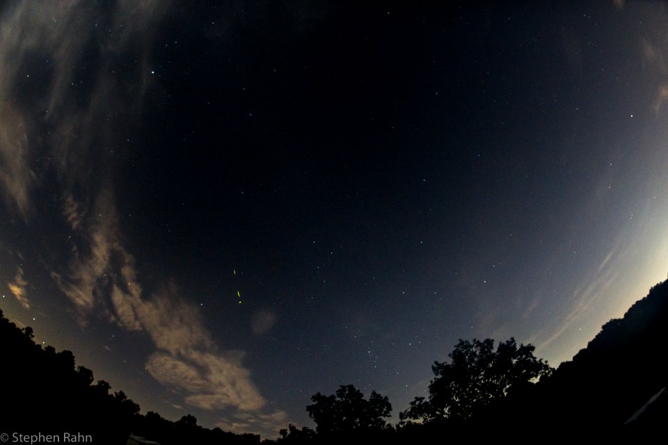 Firefly Photobomb