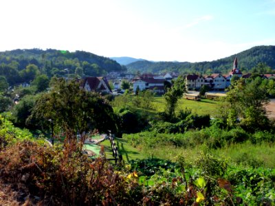 P1020733