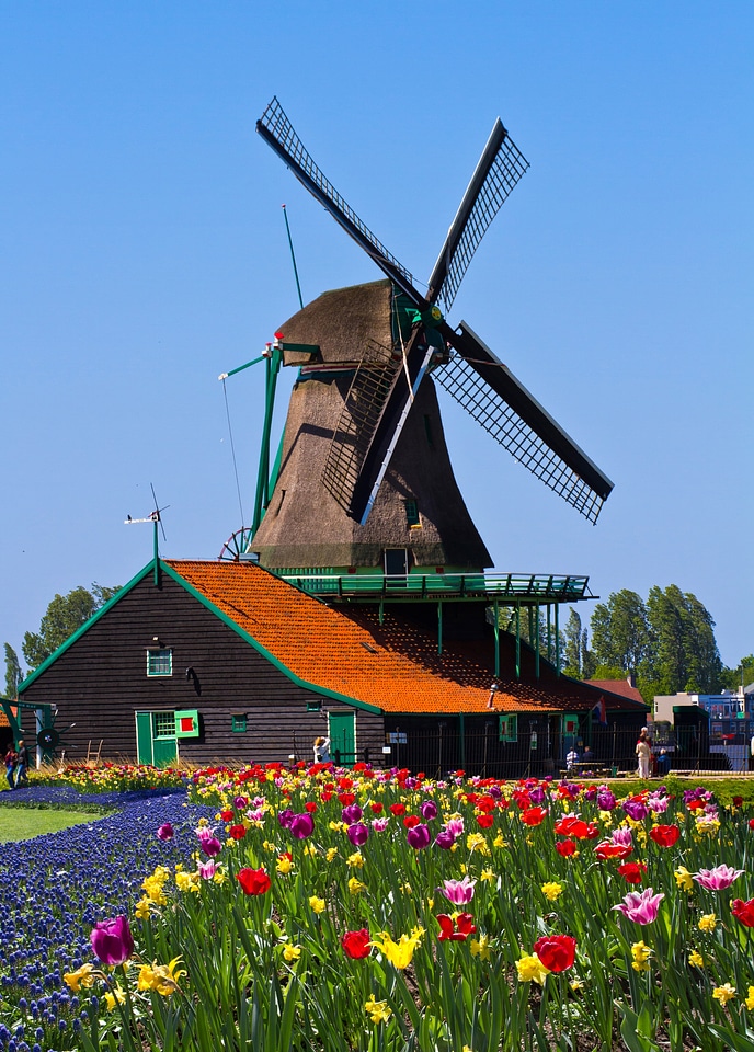 Netherlands garden europe