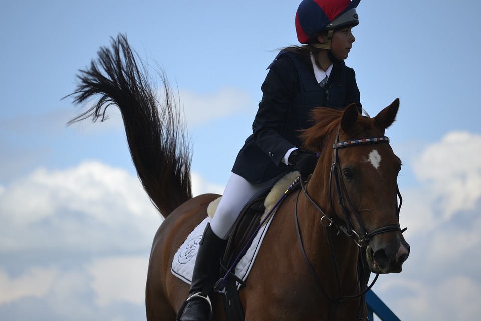 Jump competition show