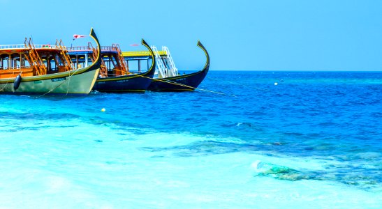 Dhoni - Malvide's commuting vehicle