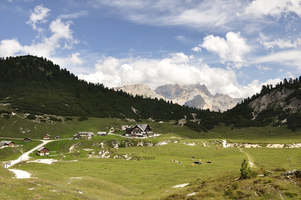 Rock massif berghof cows