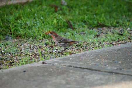 DSC01325