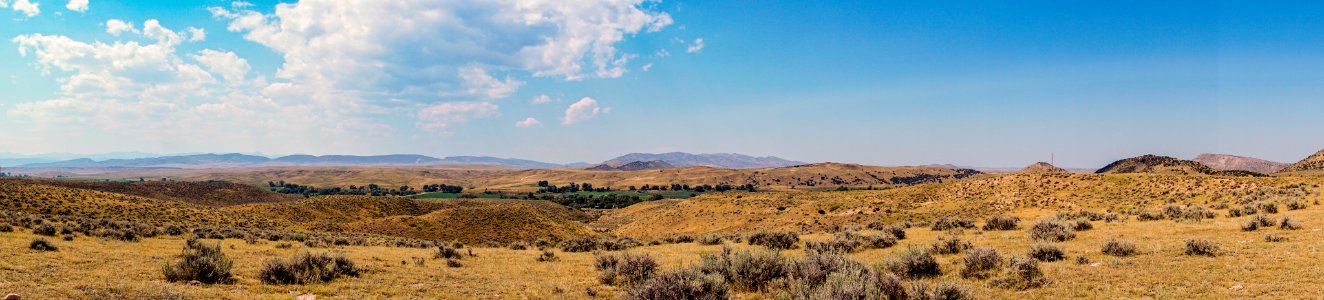Wyoming Panorama