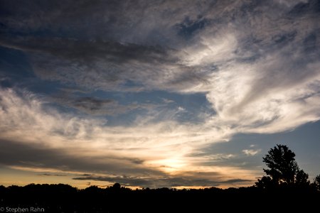 Swift-Cantrell Park 6/11/14