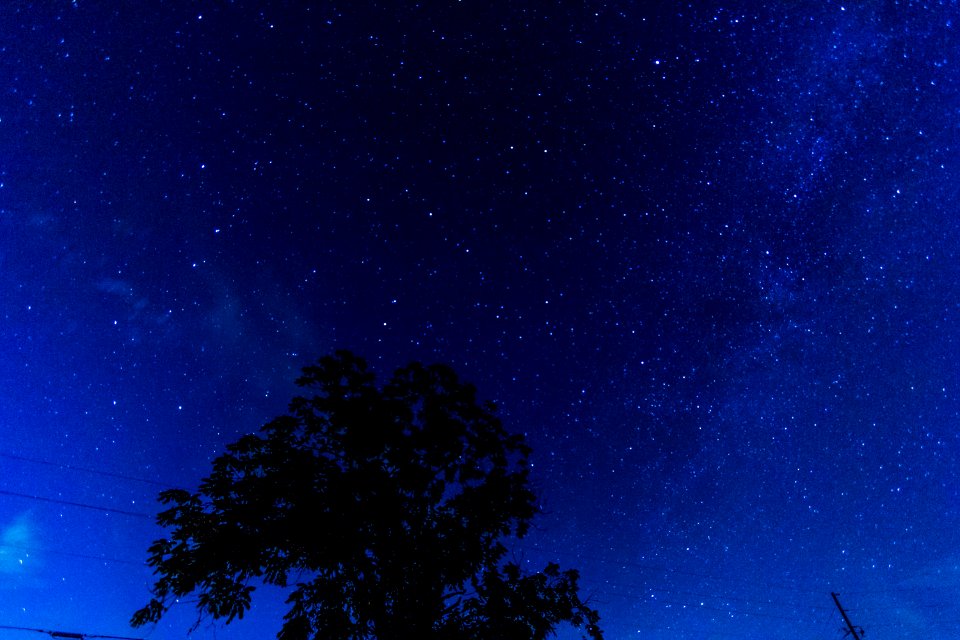 Starry Night in North Georgia