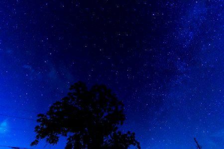 Starry Night in North Georgia