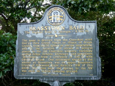Brasstown Bald
