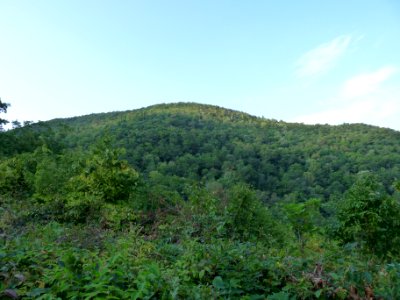 Brasstown Bald