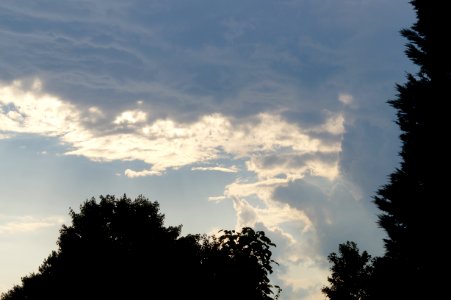 DSC01656