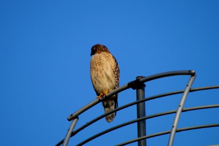 DSC01427