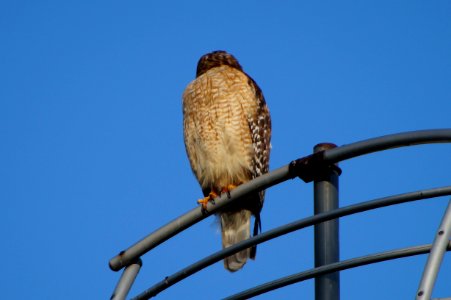 DSC01418