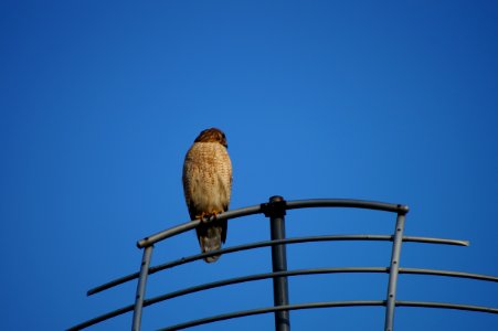 DSC01435