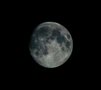 With freedom, books, flowers, and the Moon, who could not be happy? - Oscar Wilde