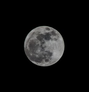 Day 362 - Long Night Moon photo