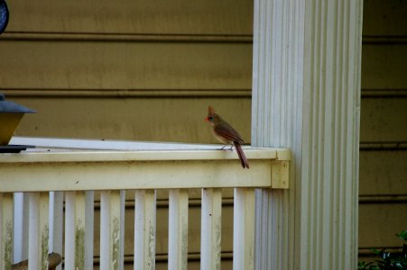 DSC01486